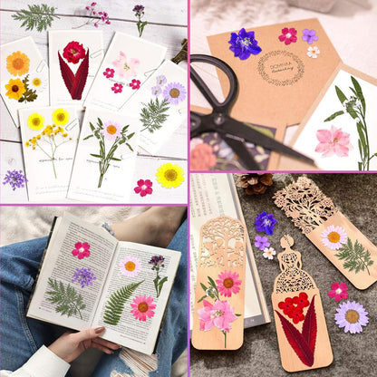 140 Pcs Dried Pressed Flowers for Resin and DIY Crafts