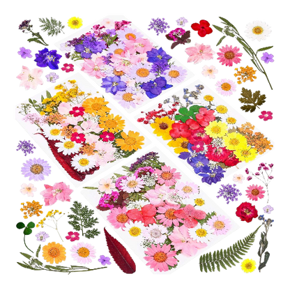 140 Pcs Dried Pressed Flowers for Resin and DIY Crafts