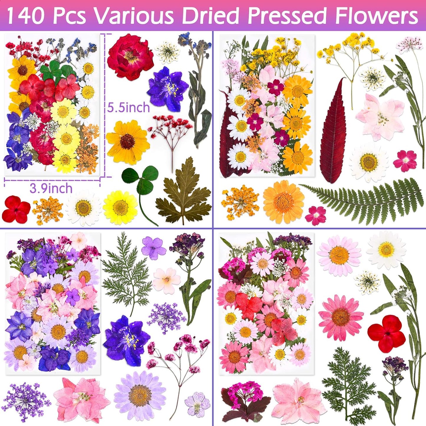 140 Pcs Dried Pressed Flowers for Resin and DIY Crafts