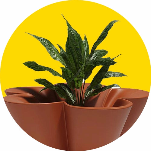 Patio, Lawn & Gardan
