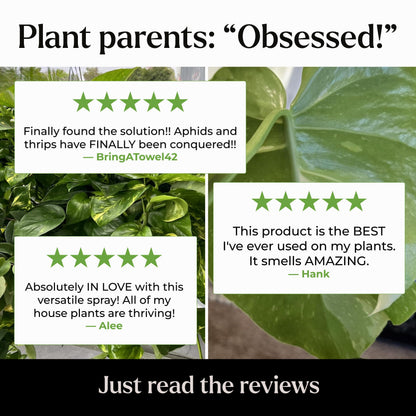 Big Leaf Energy Neem Oil Spray Plant Wash