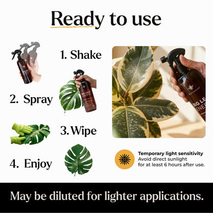 Big Leaf Energy Neem Oil Spray Plant Wash