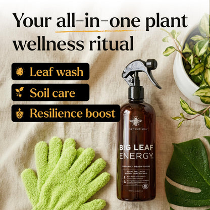 Big Leaf Energy Neem Oil Spray Plant Wash