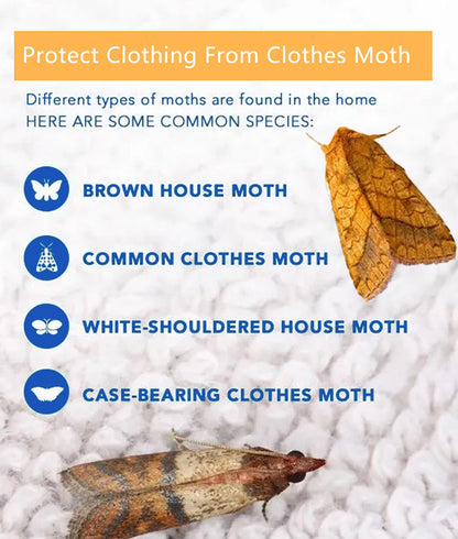 Clothes Moth Traps 6-Pack Pheromone Sticky