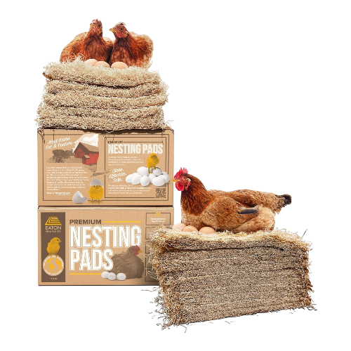 Eaton Pet & Pasture Premium Laying Hen Nesting Pads – 13 x 13, 10-Pack – USA Grown & Sustainably Harvested