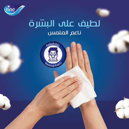 Fine Nawras 2-Ply Facial Tissues 160 Sheets