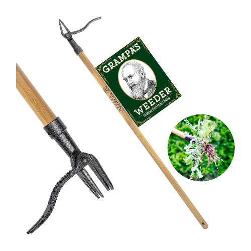 Grampa's Weeder – Original Stand-Up Weed Puller with Bamboo Handle & 4-Claw Steel Head – No Bending or Kneeling