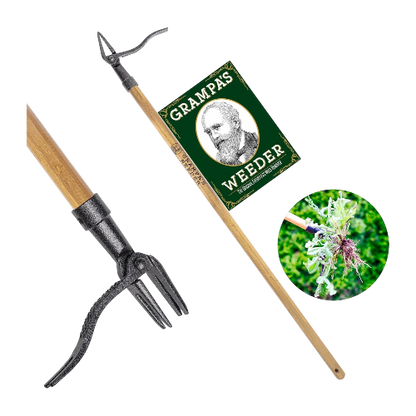 Grampa's Weeder – Original Stand-Up Weed Puller with Bamboo Handle & 4-Claw Steel Head – No Bending or Kneeling
