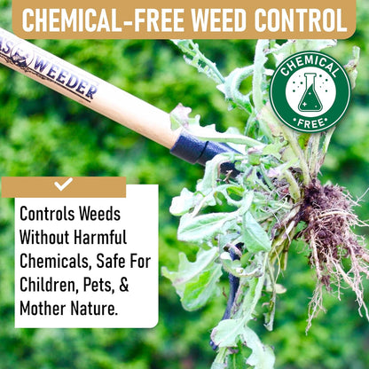 Grampa's Weeder – Original Stand-Up Weed Puller with Bamboo Handle & 4-Claw Steel Head – No Bending or Kneeling