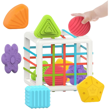 MINGKIDS Montessori Shape Sorting Cube 6pcs