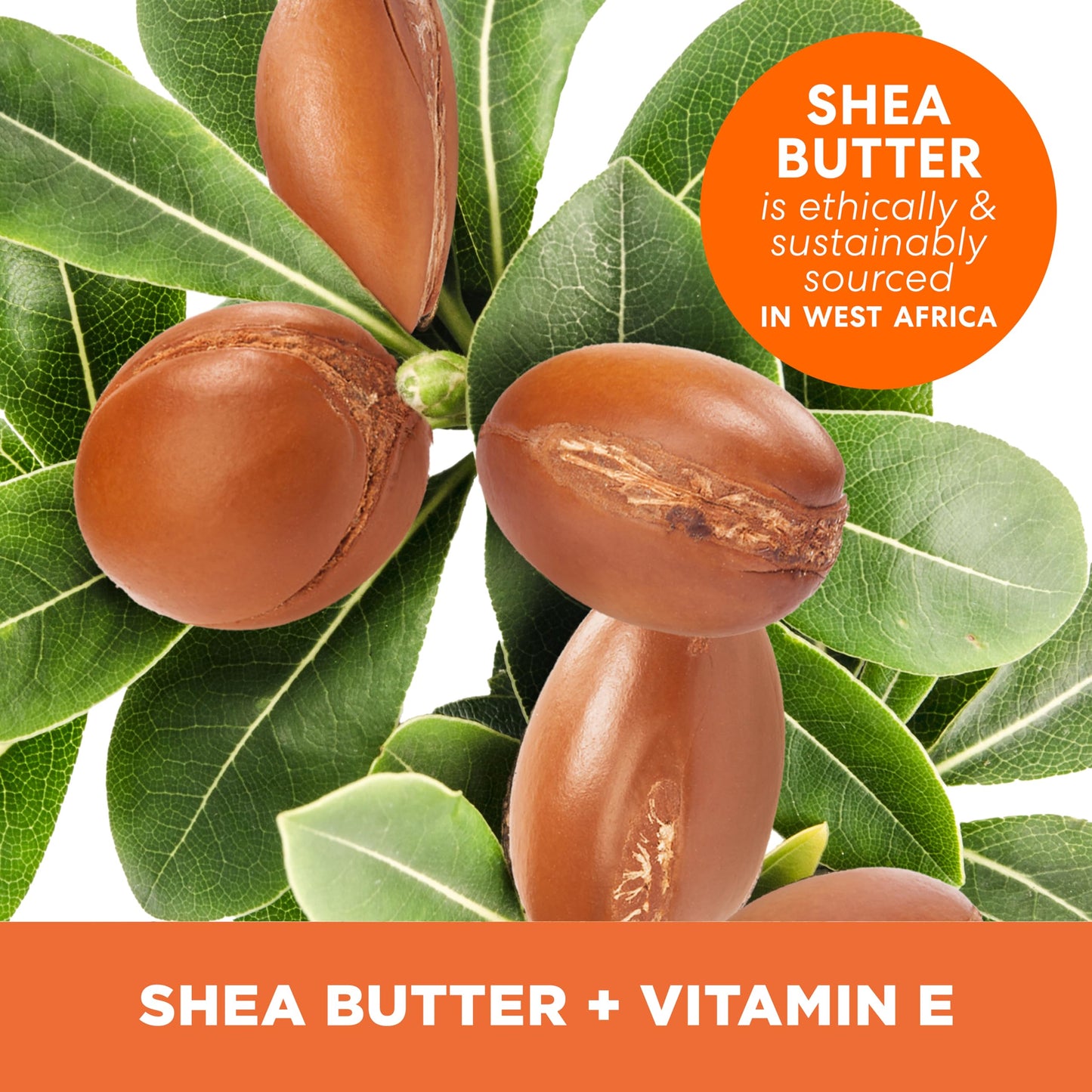 Palmer’s Shea Butter Body Lotion 250ml 48H Moisture