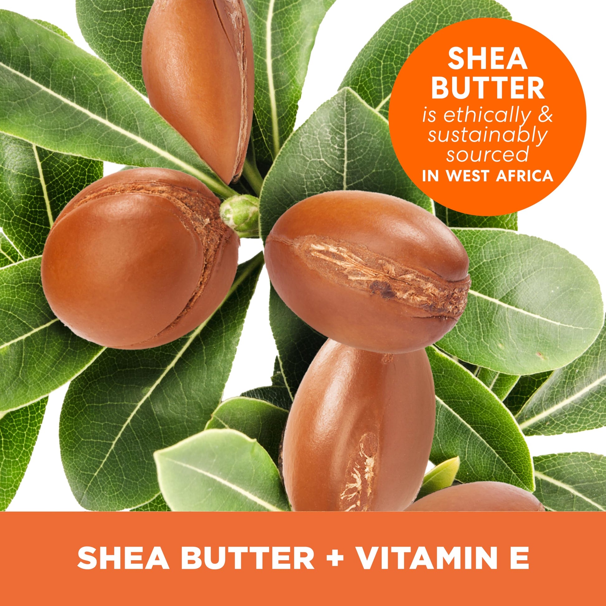 Palmer’s Shea Butter Body Lotion 250ml 48H Moisture