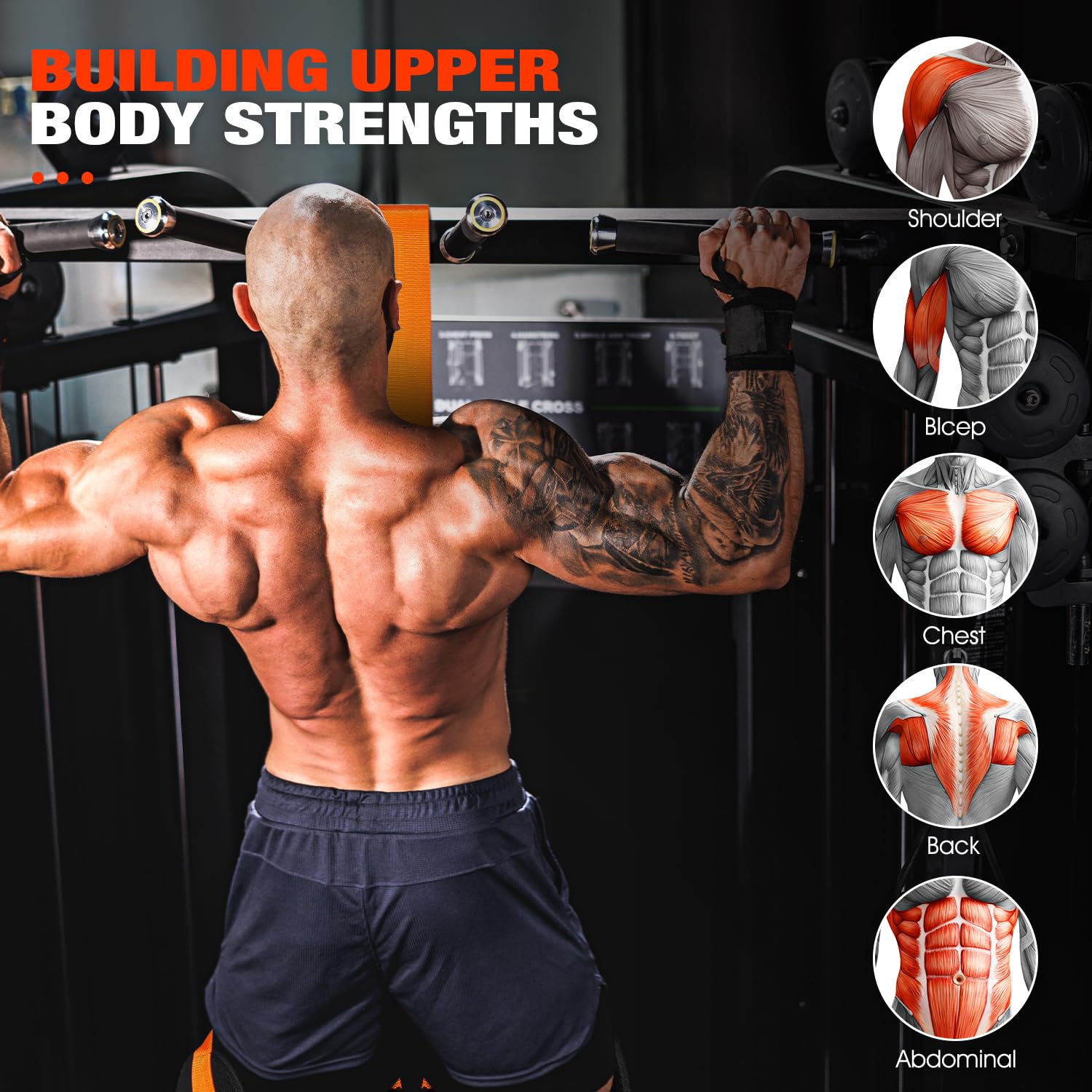 Pull Up Assist Resistance Band w/ Knee Support