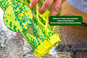 RESCUE! VisiLure® TrapStik 2-Pack – Wasps, Mud Daubers & Carpenter Bee Trap